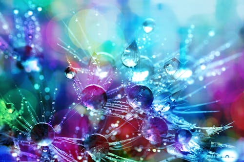 Free Bokeh Shot of Water Droplets Stock Photo