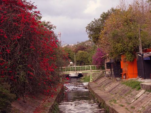 Free stock photo of poços de caldas, rio lambari Stock Photo
