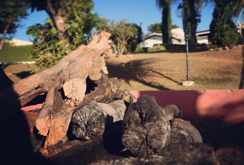 Free stock photo of atibaia, fire pit, fogueira Stock Photo