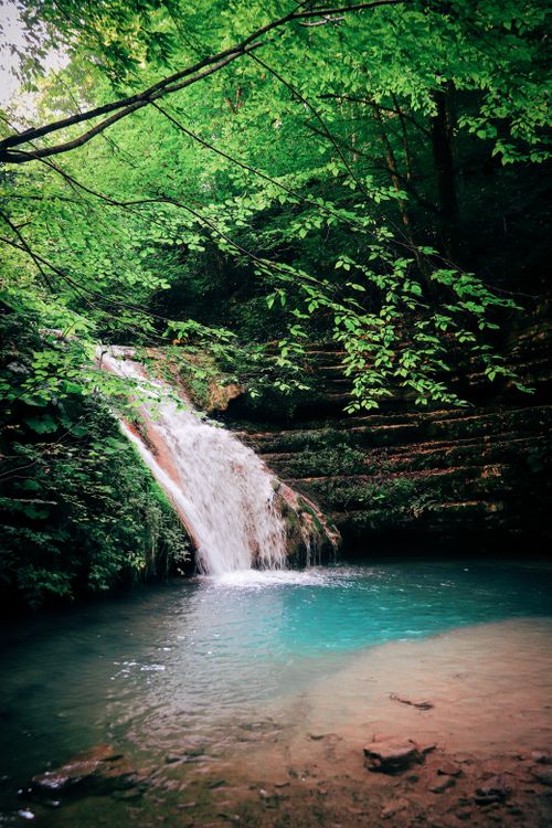 Free Picturesque view of small waterfall falling into calm lake surrounded by green trees in sunny day Stock Photo