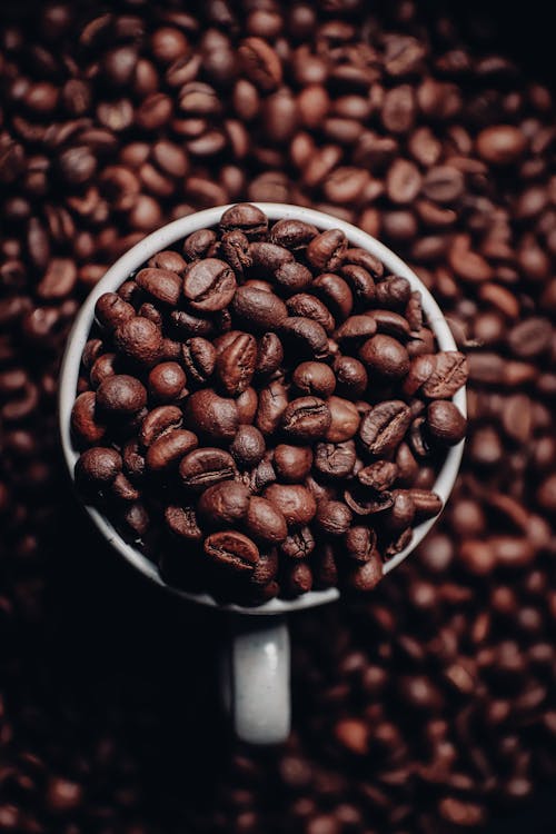 Cup of aromatic coffee beans on heap