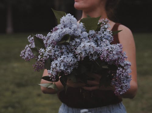 Crop anonymous female with heap of blooming syringa flowers in hands standing on grassy lawn in countryside on summer day
