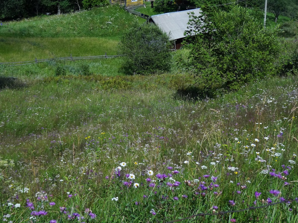 Fashion studio workspace with clothing rack and sewing tools