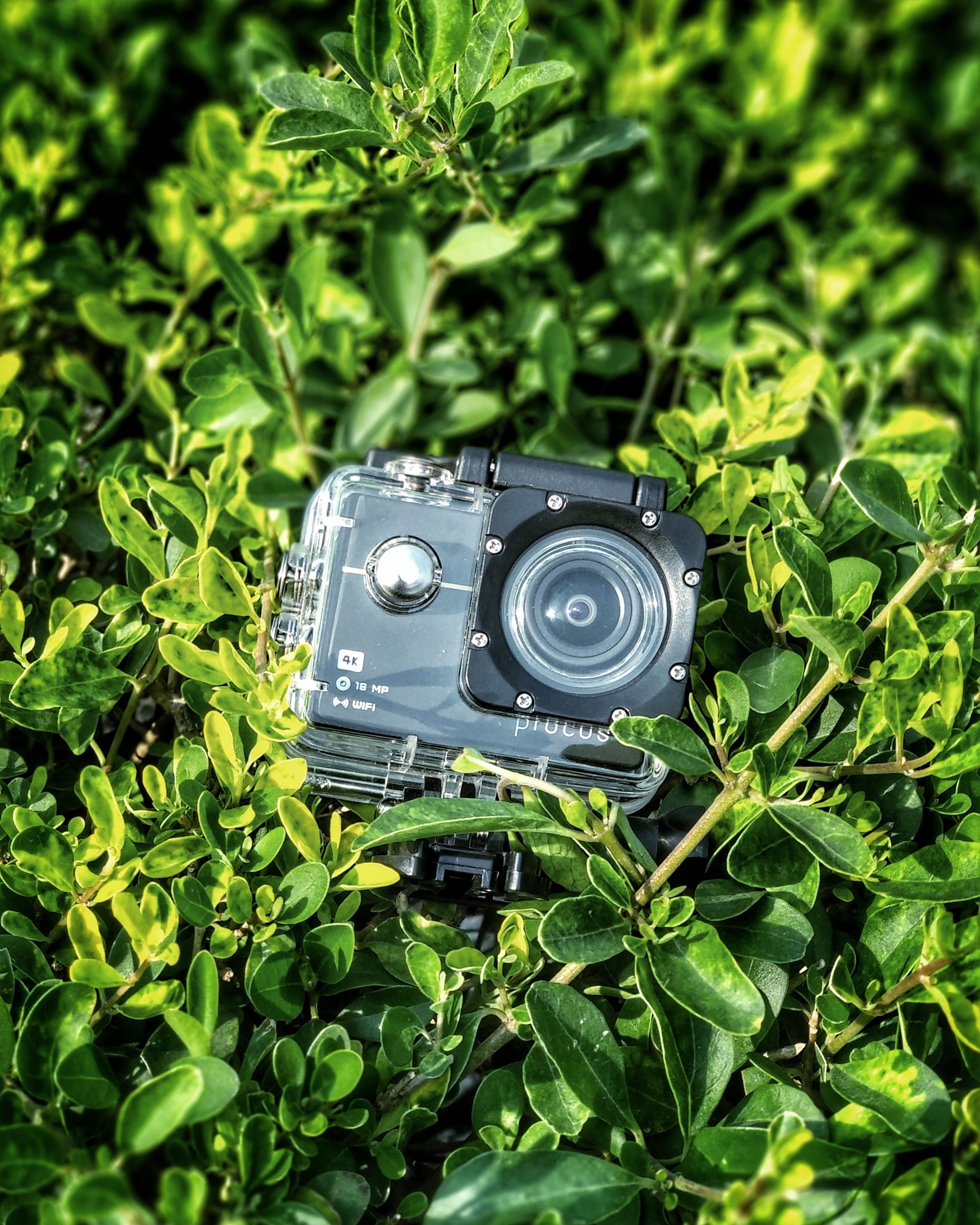 Close-up of an action camera nestled among vibrant green leaves.