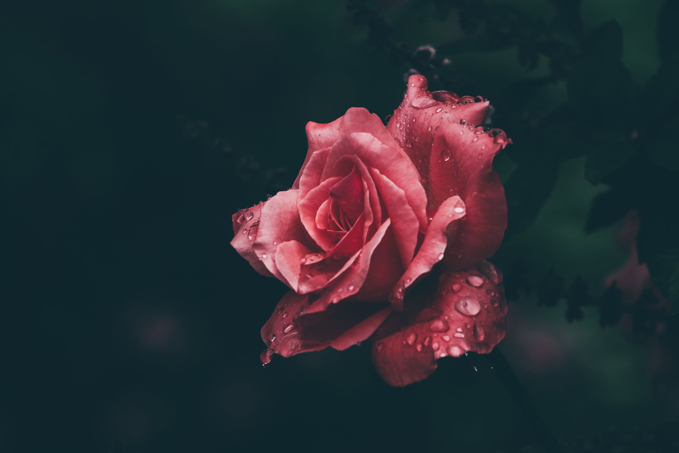 love hurts quotes for her