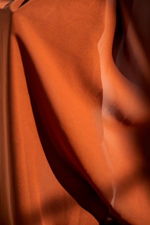 Darmowe zdjęcie z galerii z brązowy, cienie, nasłoneczny