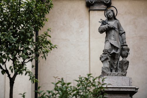 Giuliana Puricelli Photos, Download The BEST Free Giuliana Puricelli