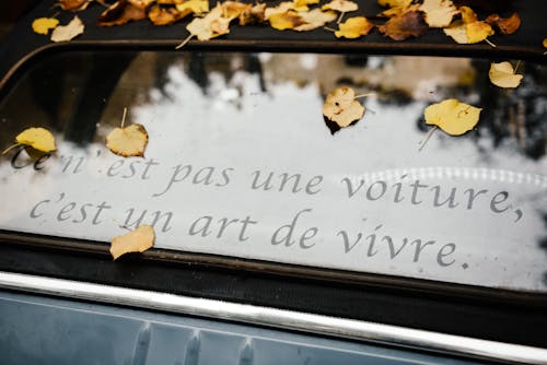 Its Not a Car Its an Art of Living Written on the Rear Window of an Old Citroen 2CV