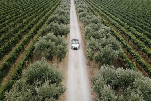 A car on a dirt road surrounded by vibrant vineyards and lush greenery viewed from above.