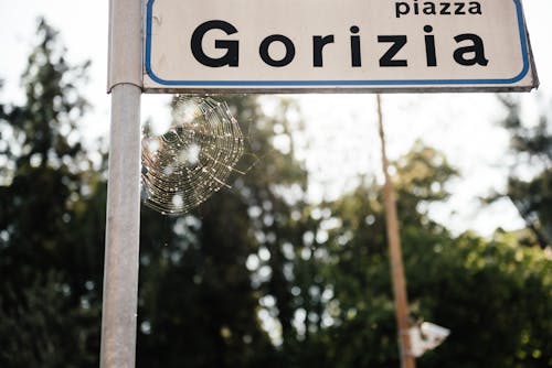 A Low Angle Shot of a Street Sign