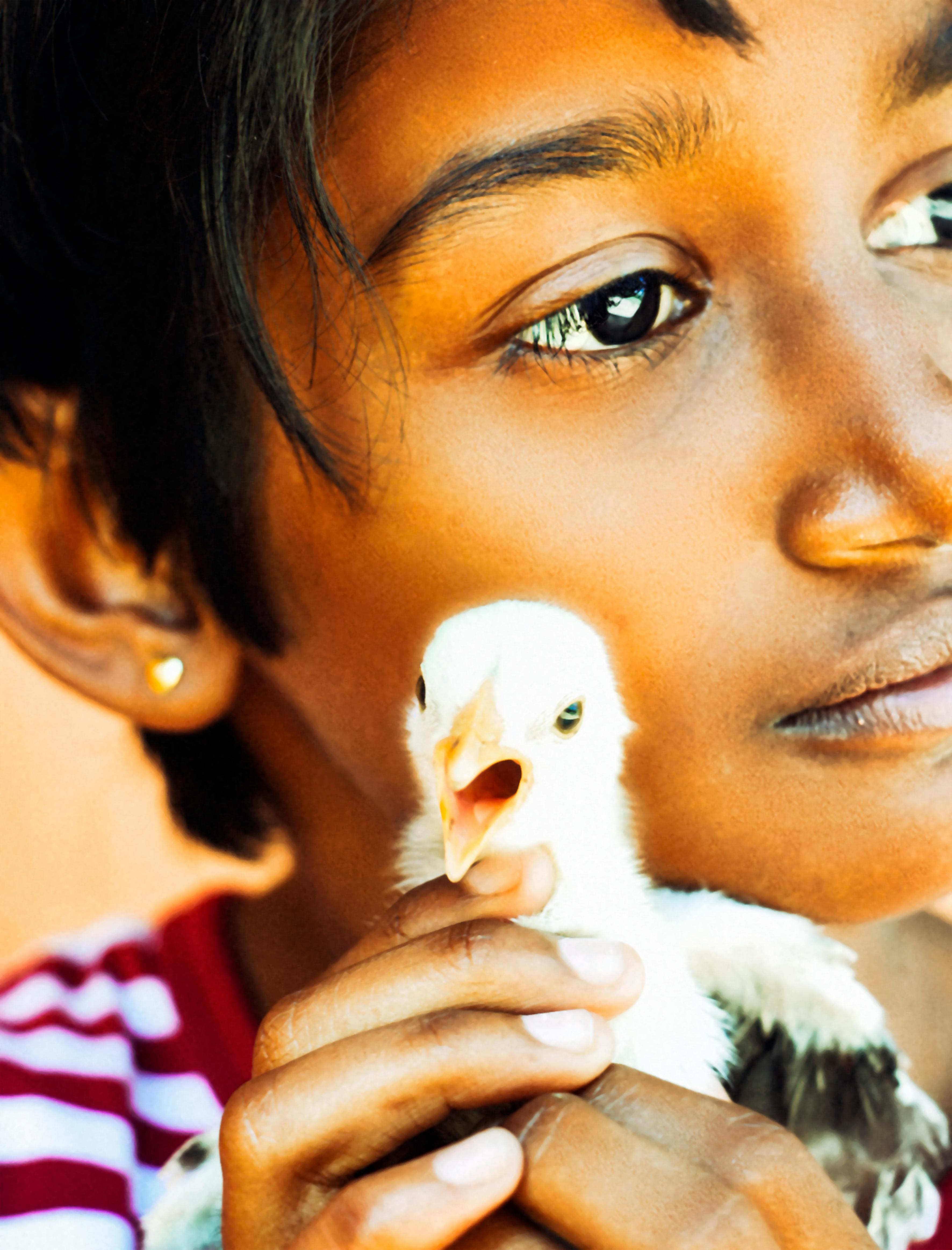 child holding white chick