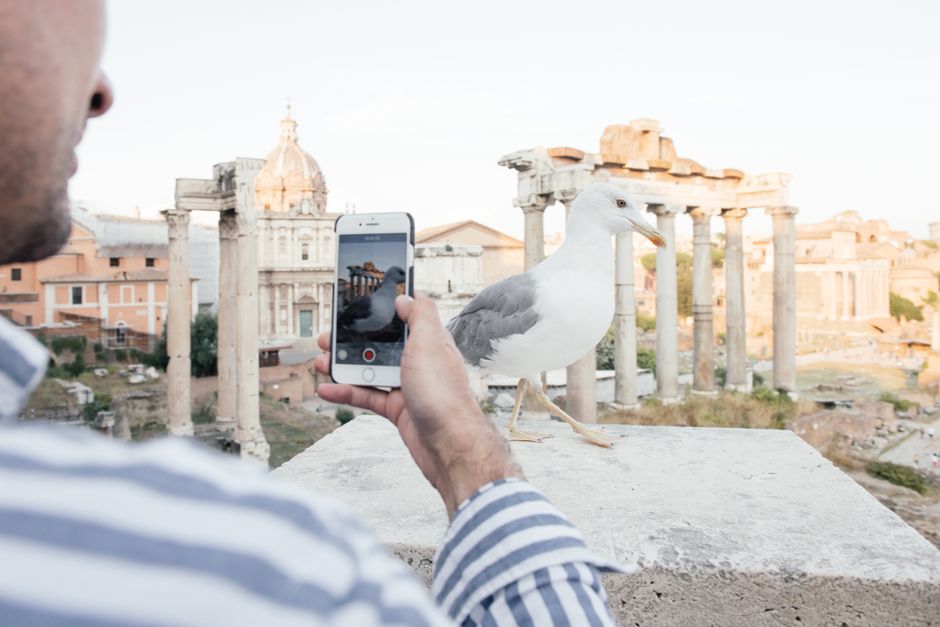 Redescoperă Magia Drumului Vechi la Mare: Trasee Secrete și Starea Actuală a Șoselei Tradicionale Spre Litoralul Românesc
