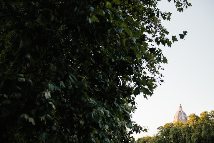 Dome Of A Cathedral Sticking From Over Tree Crowns 