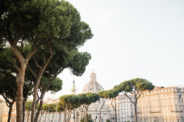 Green Trees Near Ancient City Buildings 