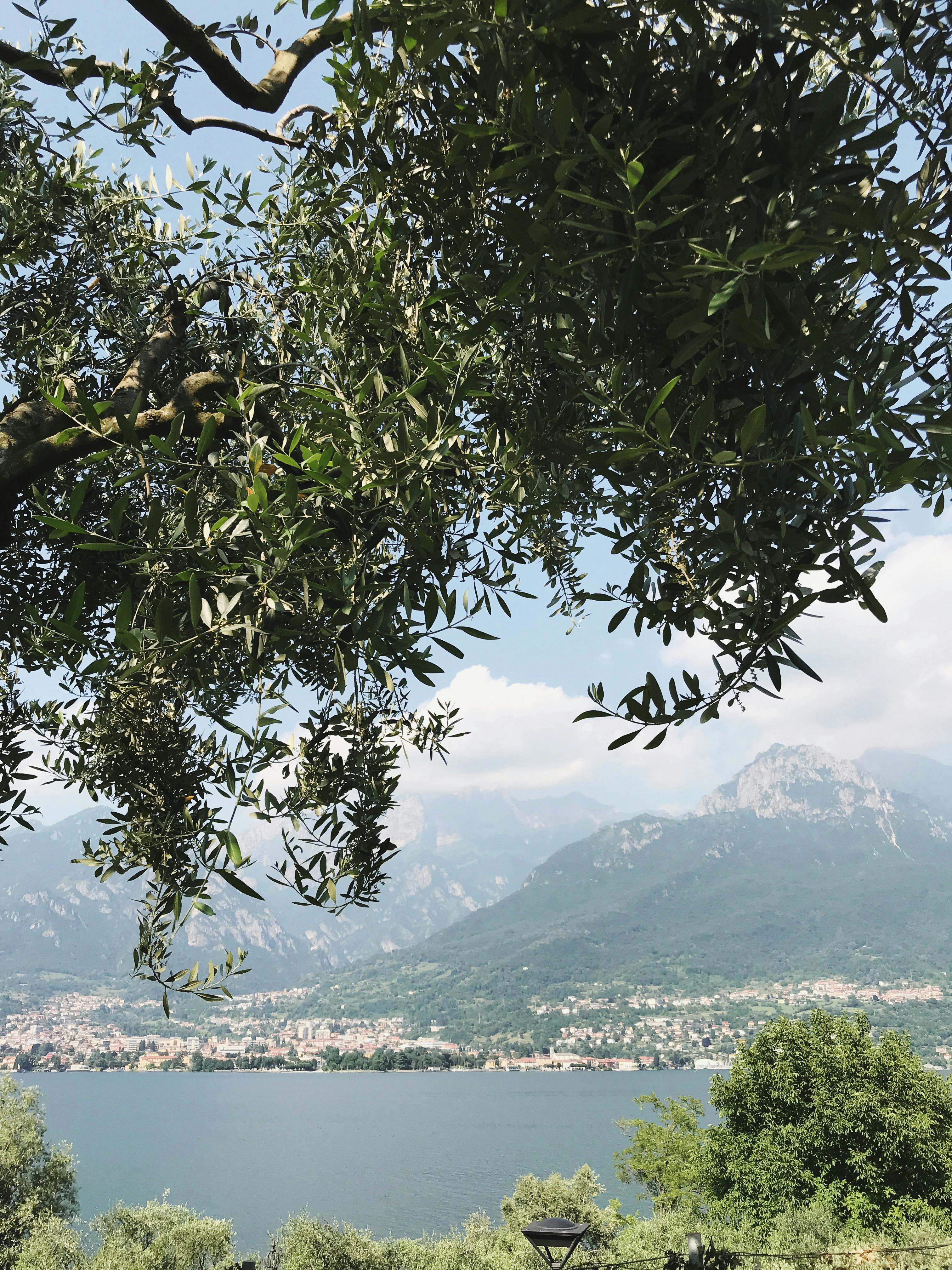 green mountain near the lake