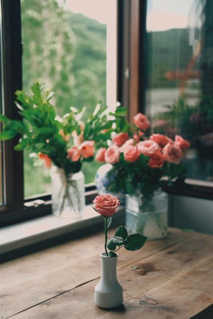 Aromatic roses placed in vases on wooden table against window in room in daytime