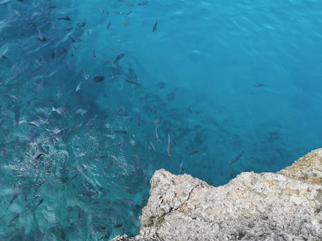 San Andres, Colombia photo 15