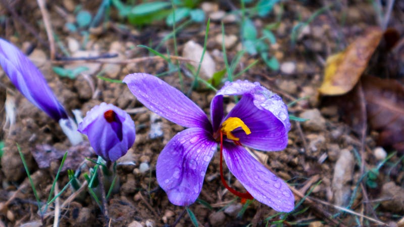 VadiCloud ERP Dashboard