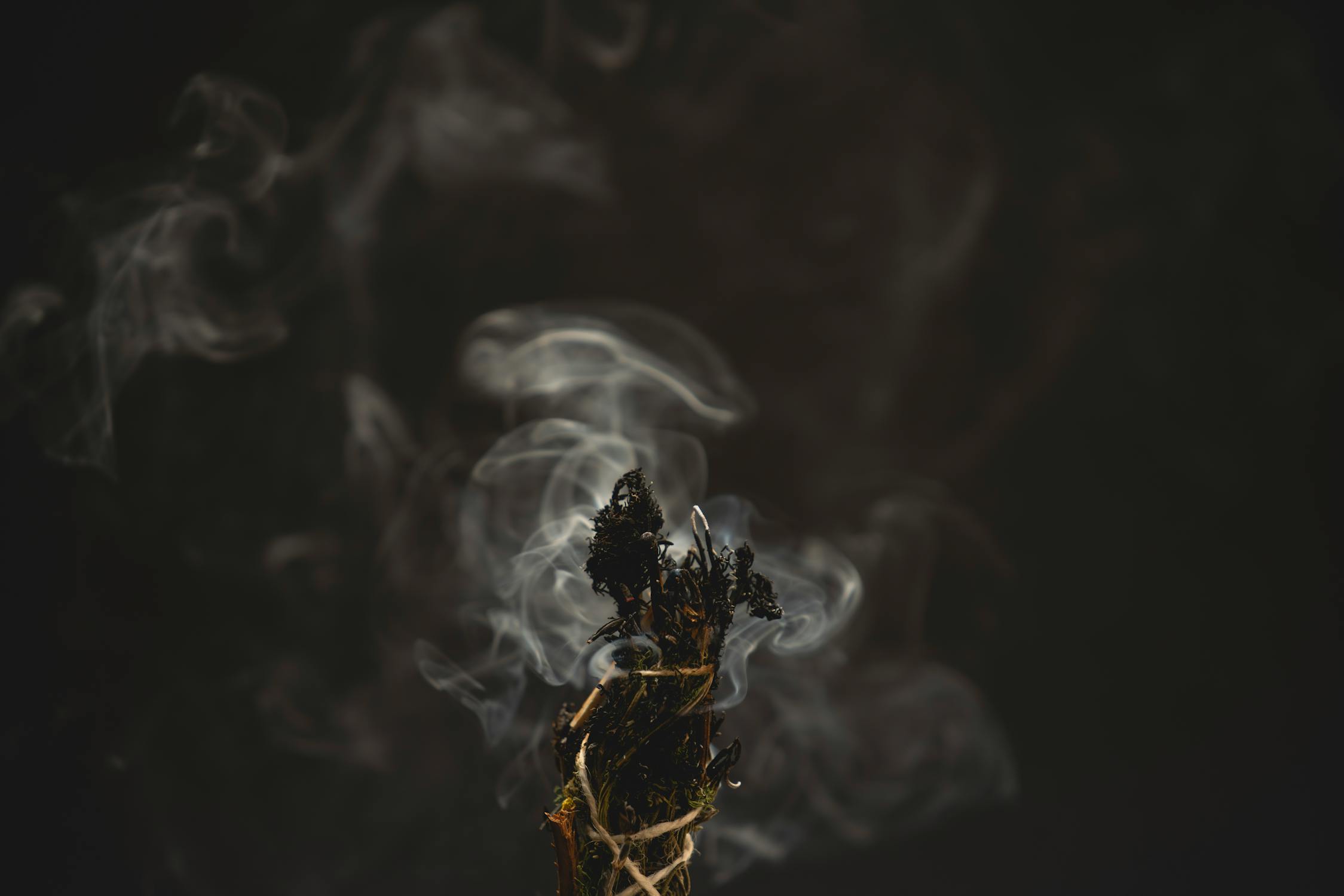 Daily Milestone Achievement: 5-Day Innovation Cycles vs Industry 3-Month Standards