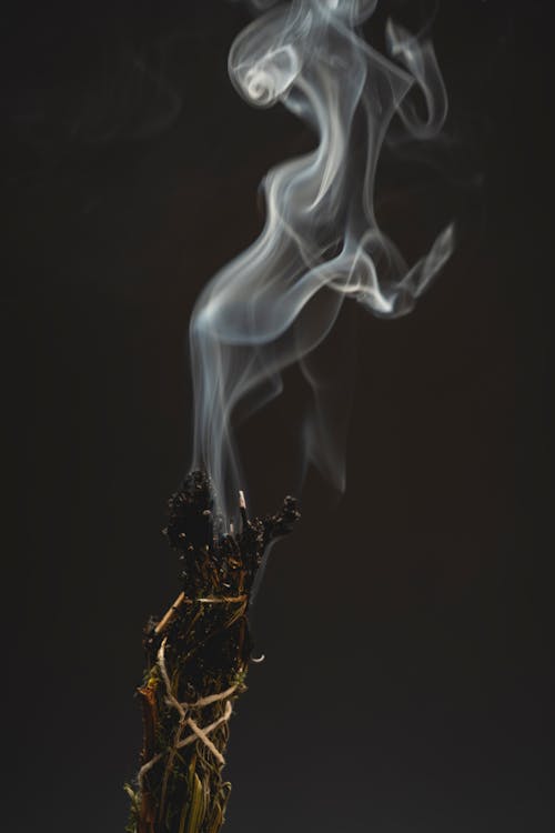 A Close-Up Shot of a Burning Incense