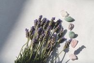 Flat Lay Photography of Gem Stones with Lavender Flowers