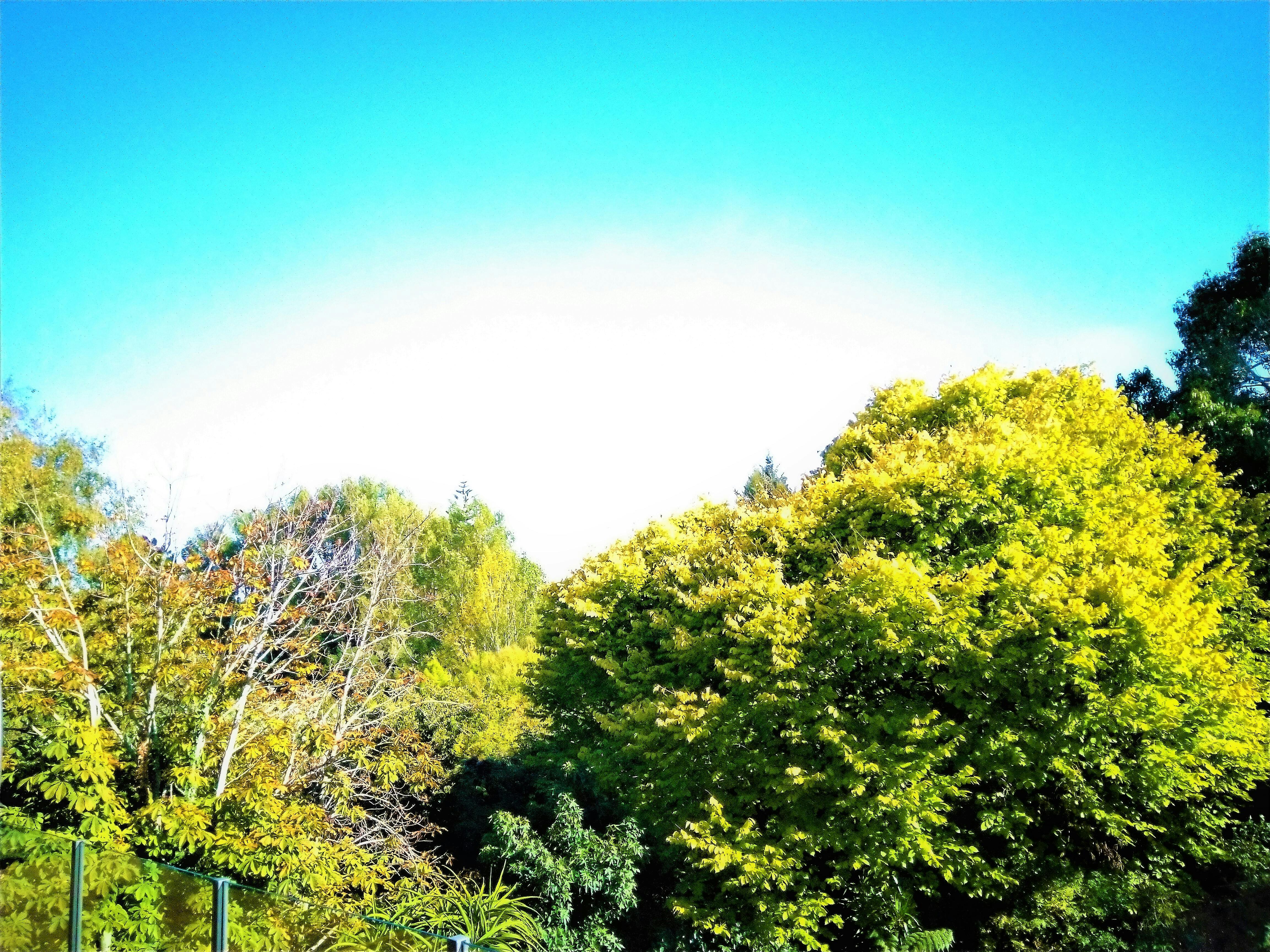 Person wearing a modern VR headset in a dark room with neon lights