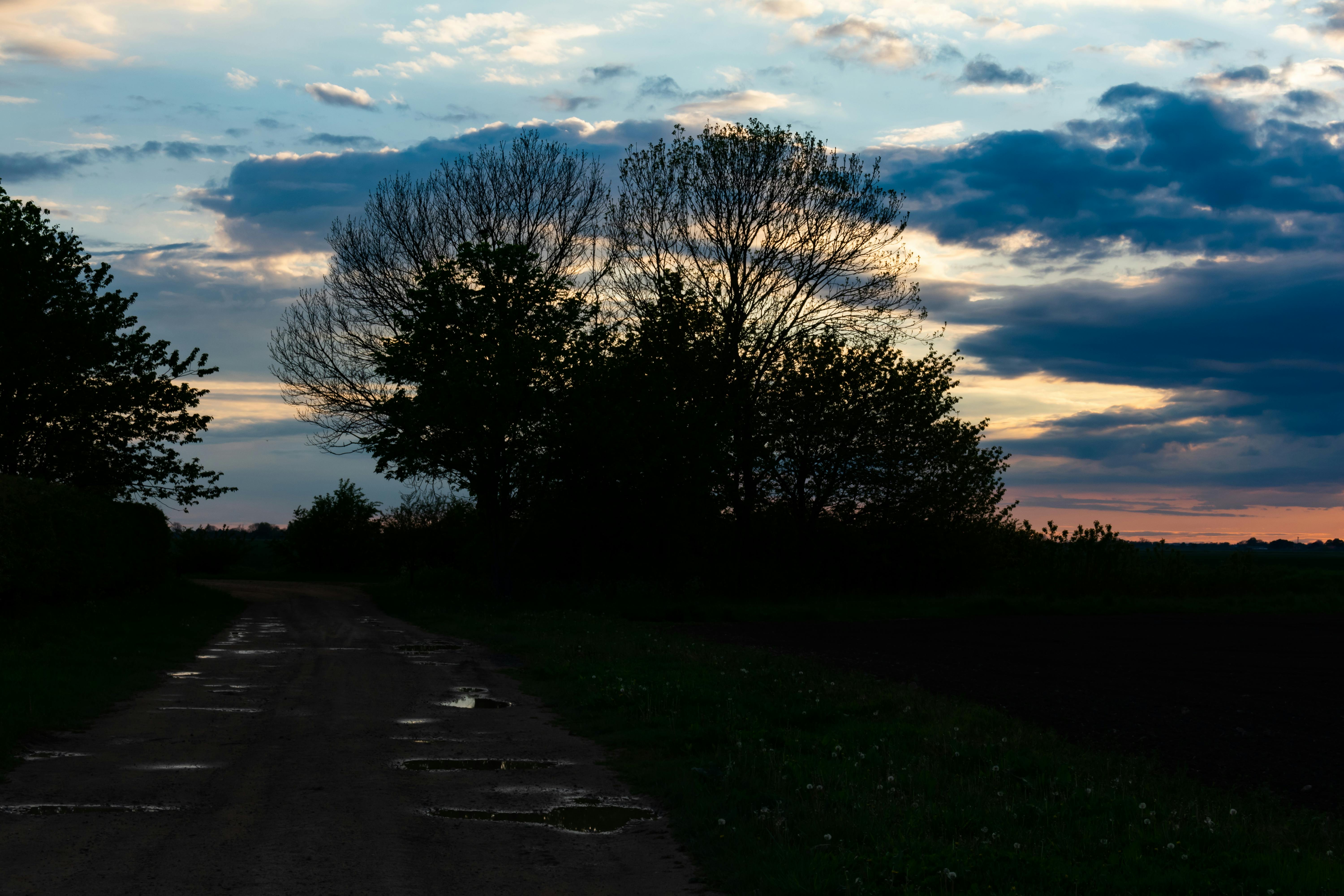 Increase income to pay off debt 2025