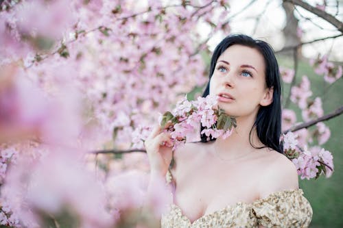Woman in Off Shoulder Dress Standing Under a Cherry Blossom Tree