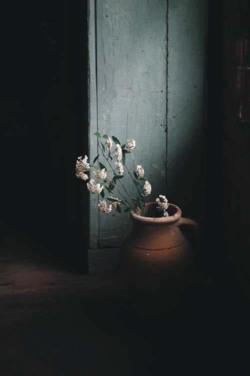 Twigs of wax plant with green leaves and white flowers placed in clay jug near wooden blue wall in dark room