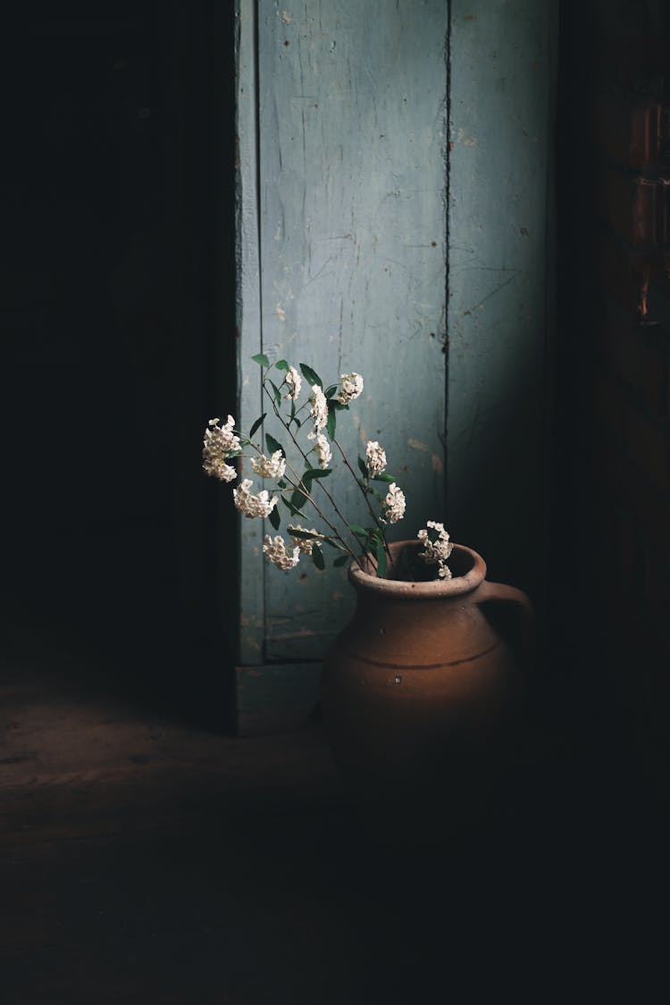 Twigs Of Wax Plant In Clay Jug Placed Near Wall In Room