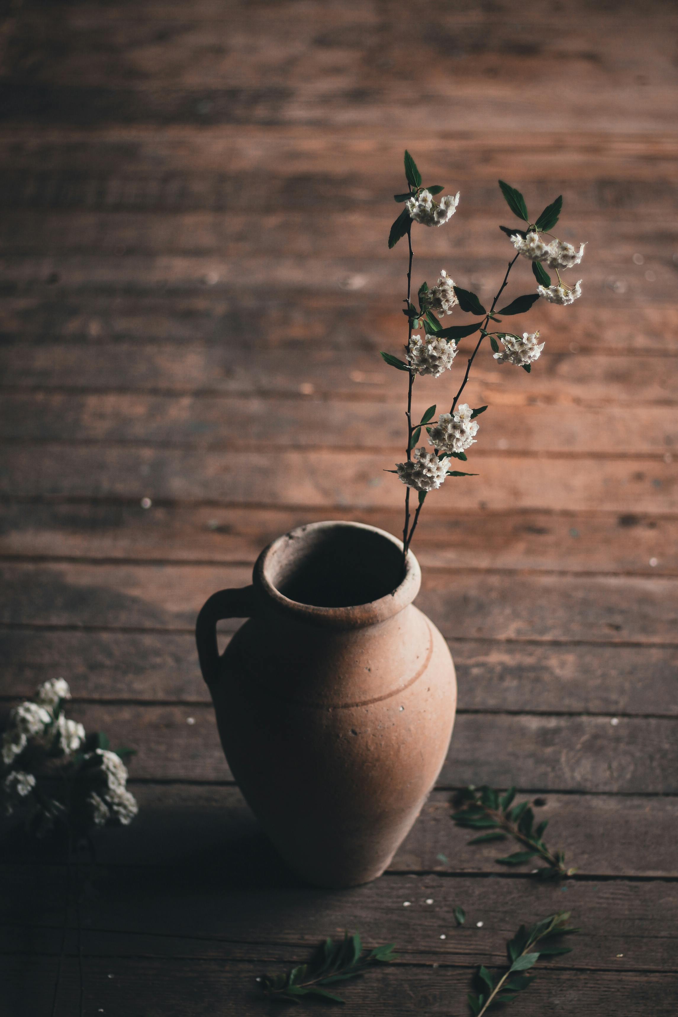 High angle of ceramic vase with blossoming flowers with leaves on stem on wooden floor in bright room