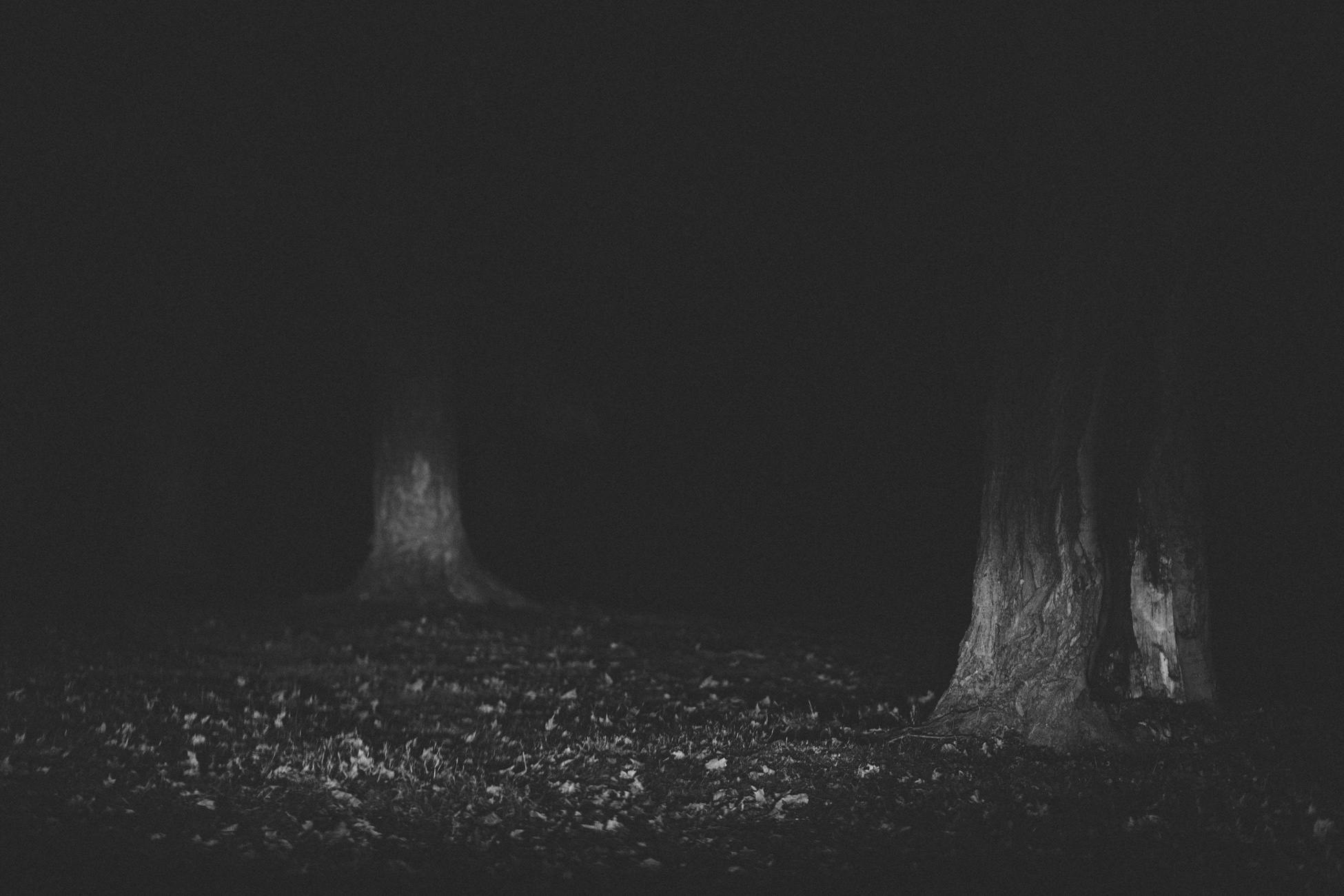 free stock photo of