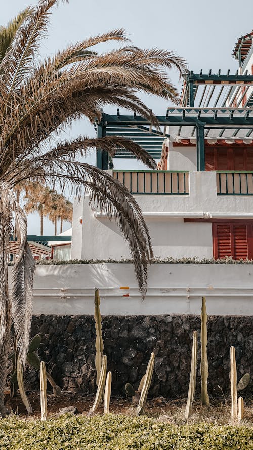 Beach House in Tropical Landscape