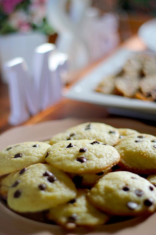 Close-Up Shot of Chocolate Chip Cookies