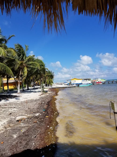 Fotos de stock gratuitas de bocas