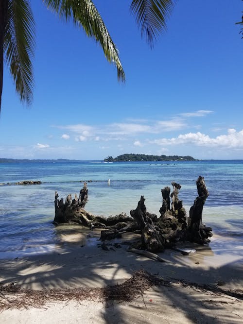 Fotos de stock gratuitas de bocas, isla, islas