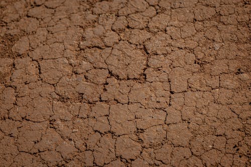 Cracked dry soil in desert