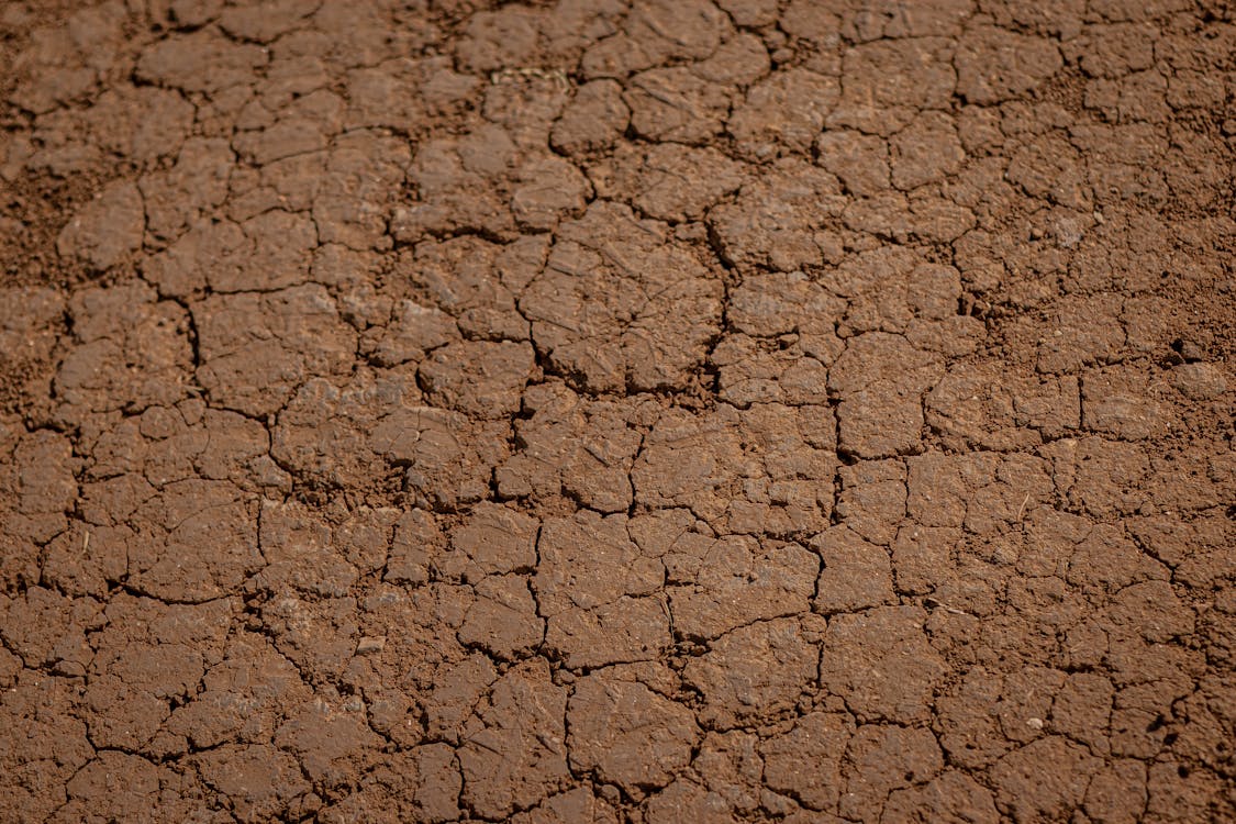 Free Cracked dry soil in desert Stock Photo
