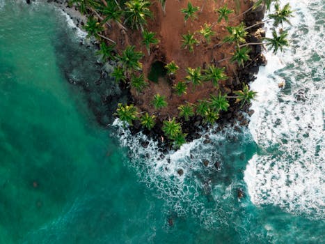 Drone view of turquoise clear ocean with foamy waves rolling on rocky shore with green tropical palms