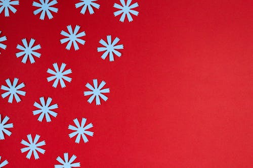 Бесплатное стоковое фото с белые цветы, вырезы, красная поверхность