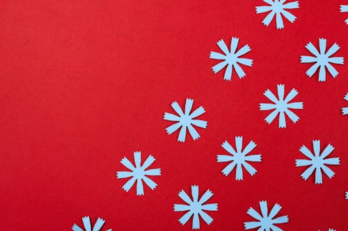 Free White Cutout Flowers on a Red Background Stock Photo