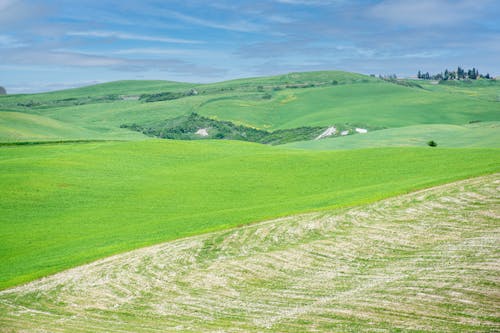 Gratuit Imagine de stoc gratuită din câmp, cer albastru, iarbă verde Fotografie de stoc