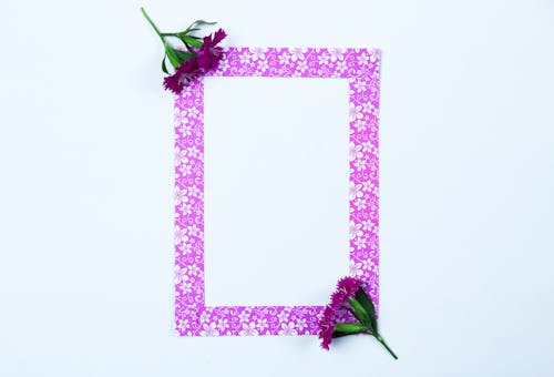 Empty Purple Picture Frame and Purple Flowers 