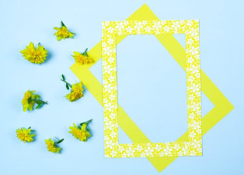 A Floral Yellow Frame Paper Cutouts and Flowers on a Light Blue Background