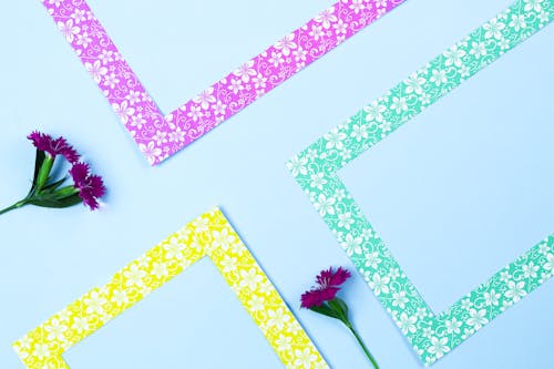 Colorful Floral Frames and Flowers 