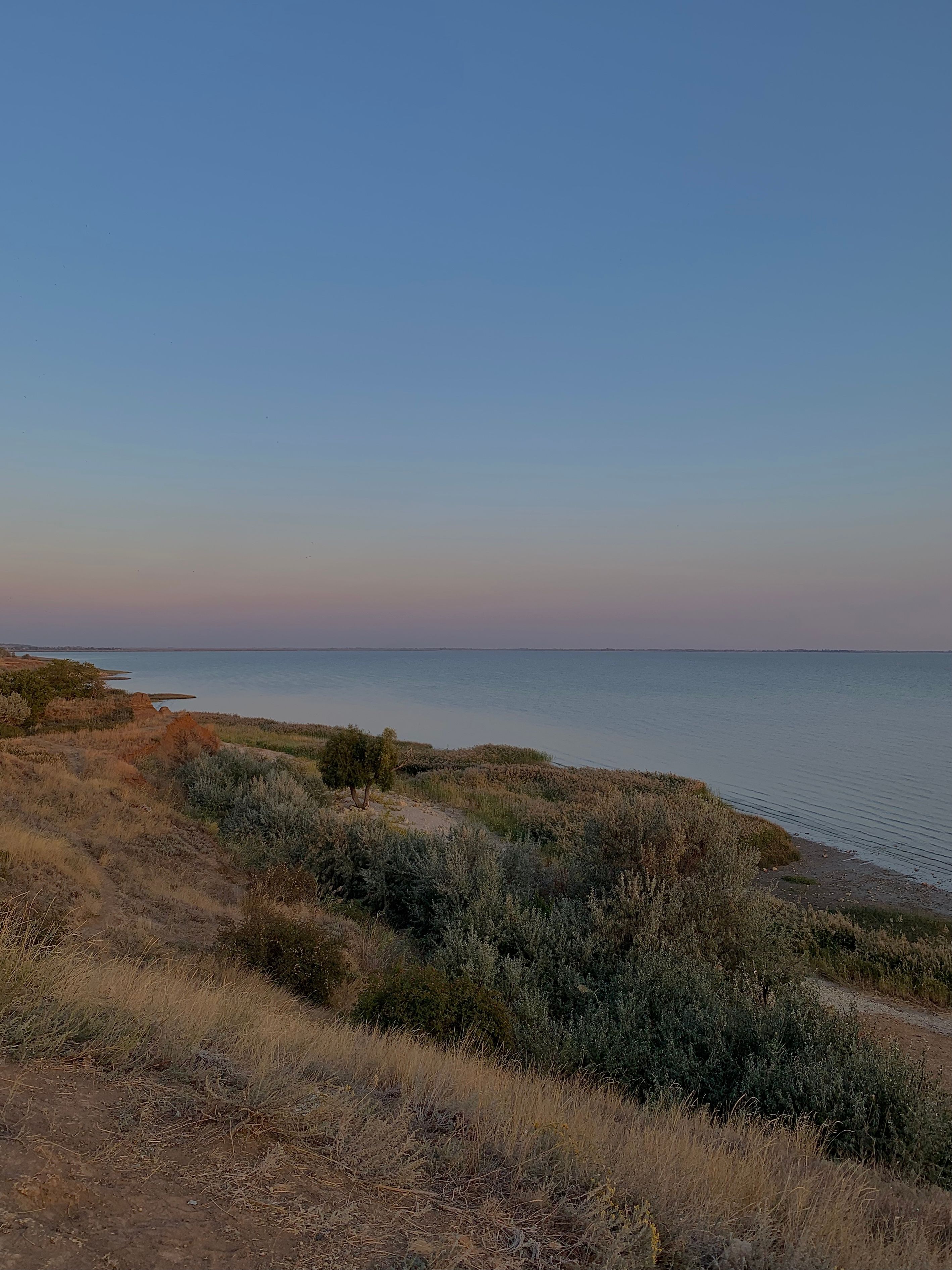 A Grass Field Near the Body of Water Under the Blue Sky · Free Stock Photo