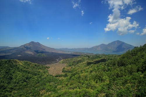 An Aerial Photography of Green Trees Near the Mountains Under the Blue Sky