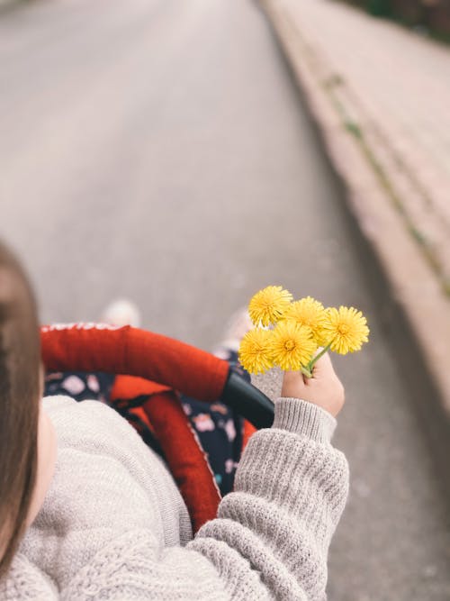 Kostnadsfri bild av grunda fokus, gula blommor, håller