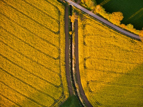 Gratis stockfoto met akkers, bovenaanzicht, dronefoto