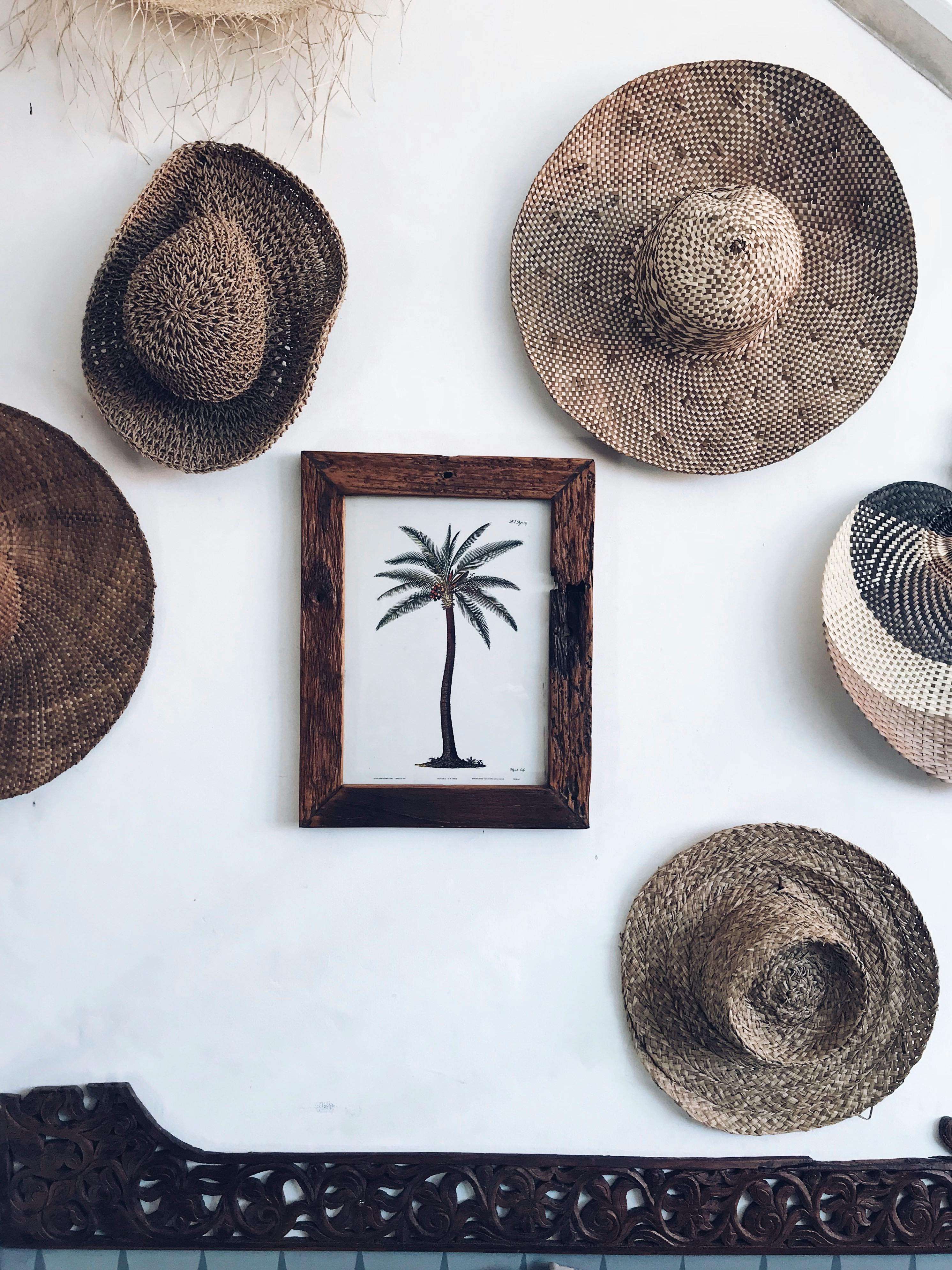 Island Influence Photos, Download The BEST Free Island Influence Stock ...